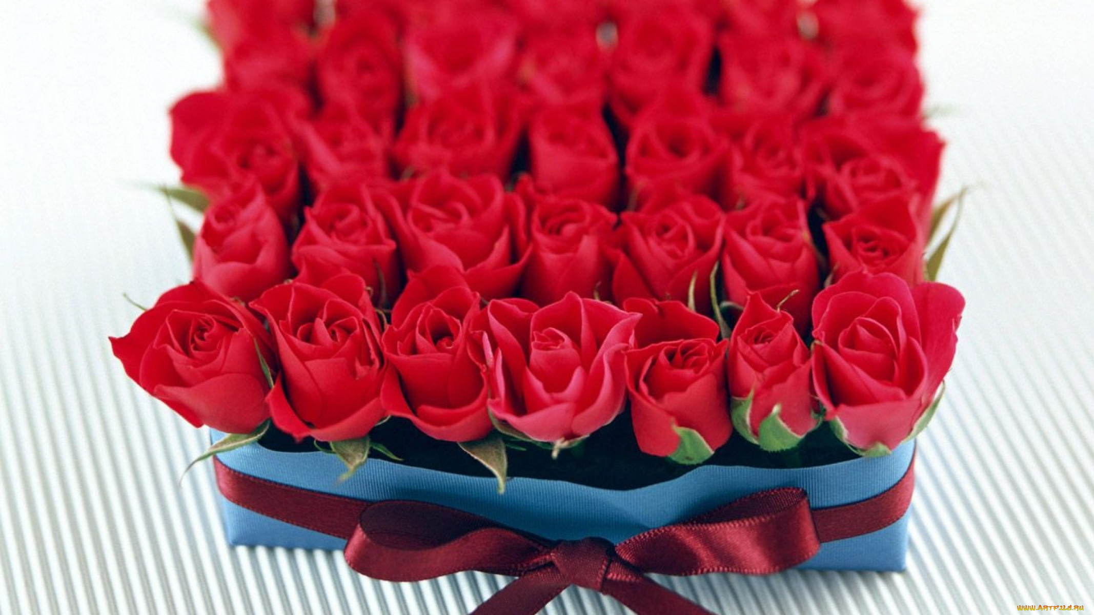 Прикольные розы картинки. С днем рождения розы. Цветочки с днем рождения. С днём рождения красные розы.